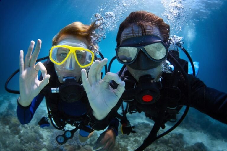 Scuba diving and Snorkeling tours in Catalina Islands