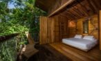 tree house hotel