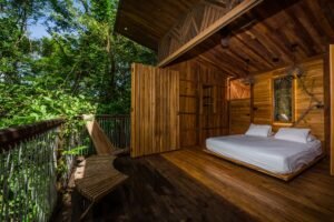 tree house hotel